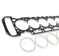 Athena cooper ring BMW M62 Right