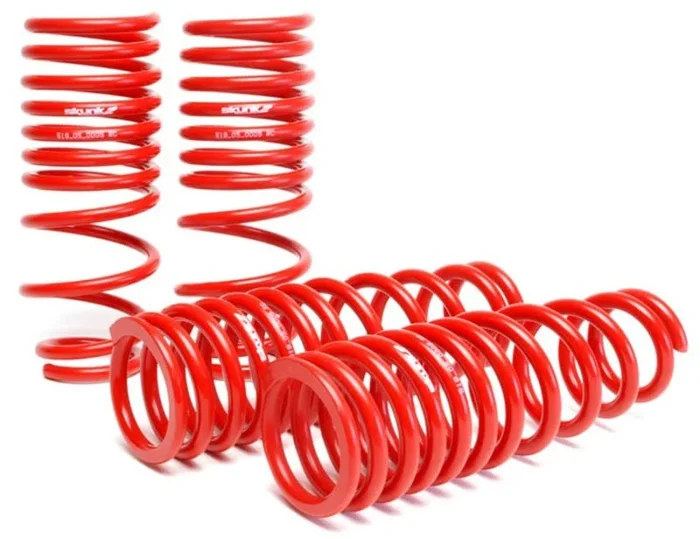 Skunk2 96-00 Honda Civic Lowering Springs (2.50in – 2.25in.) (Set of 4)