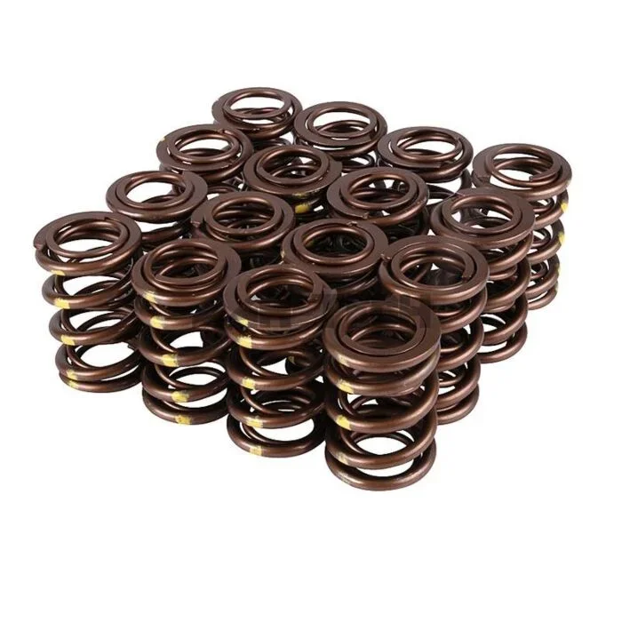Skunk2 Pro Series XP valve springs (Honda B-Serie engines)
