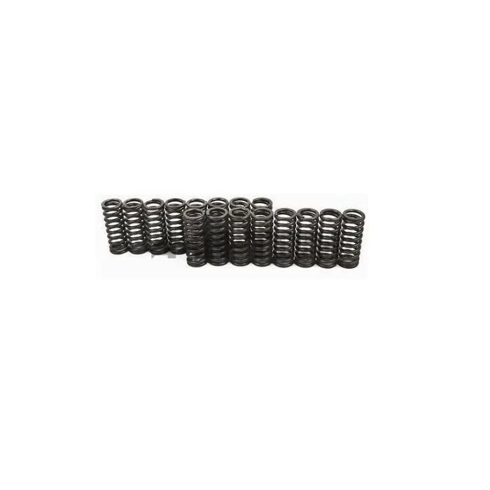 Supertech H1002S valve springs (D-serie SOHC VTEC engines)